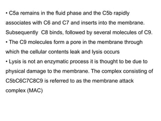 Complement System and its activation pathways | PDF