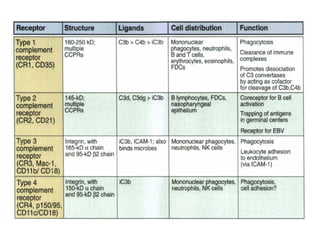 Complement System and its activation pathways | PDF