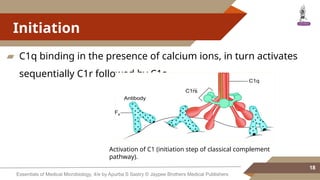 Turnkey Complement Complement presentation immunity mi.pptx