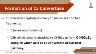 Complement presentation immunity mi.pptx