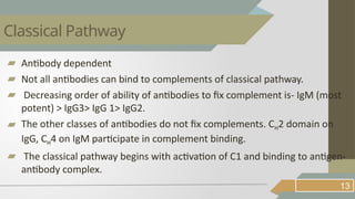 ▰ Antibody dependent
▰ Not all antibodies can bind to complements of classical pathway.
▰ Decreasing order of ability of antibodies to fix complement is- IgM (most
potent) > IgG3> IgG 1> IgG2.
▰ The other classes of antibodies do not fix complements. CH2 domain on
IgG, CH4 on IgM participate in complement binding.
▰ The classical pathway begins with activation of C1 and binding to antigen-
antibody complex.
13
Classical Pathway
 