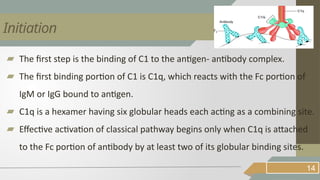 ▰ The first step is the binding of C1 to the antigen- antibody complex.
▰ The first binding portion of C1 is C1q, which reacts with the Fc portion of
IgM or IgG bound to antigen.
▰ C1q is a hexamer having six globular heads each acting as a combining site.
▰ Effective activation of classical pathway begins only when C1q is attached
to the Fc portion of antibody by at least two of its globular binding sites.
14
Initiation
 