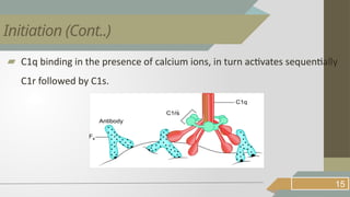 ▰ C1q binding in the presence of calcium ions, in turn activates sequentially
C1r followed by C1s.
15
Initiation (Cont..)
 