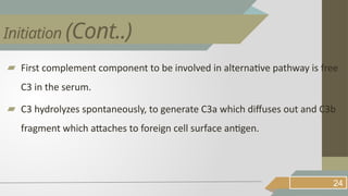 ▰ First complement component to be involved in alternative pathway is free
C3 in the serum.
▰ C3 hydrolyzes spontaneously, to generate C3a which diffuses out and C3b
fragment which attaches to foreign cell surface antigen.
24
Initiation (Cont..)
 