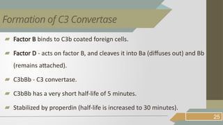 ▰ Factor B binds to C3b coated foreign cells.
▰ Factor D - acts on factor B, and cleaves it into Ba (diffuses out) and Bb
(remains attached).
▰ C3bBb - C3 convertase.
▰ C3bBb has a very short half-life of 5 minutes.
▰ Stabilized by properdin (half-life is increased to 30 minutes).
25
Formation of C3 Convertase
 