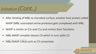 ▰ After binding of MBL to microbial surface, another host protein called
MASP (MBL associated serine protease) gets complexed with MBL.
▰ MASP is similar or C1r and C1s and mimics their functions.
▰ MBL-MASP complex cleaves C4 which in turn splits C2.
▰ MBL/MASP-C4b2a acts as C3 convertase.
30
Initiation (Cont..)
 