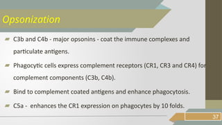 ▰ C3b and C4b - major opsonins - coat the immune complexes and
particulate antigens.
▰ Phagocytic cells express complement receptors (CR1, CR3 and CR4) for
complement components (C3b, C4b).
▰ Bind to complement coated antigens and enhance phagocytosis.
▰ C5a - enhances the CR1 expression on phagocytes by 10 folds.
37
Opsonization
 