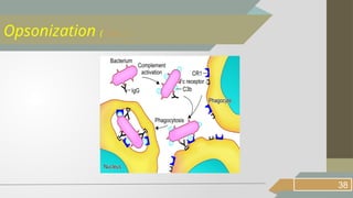38
Opsonization (Cont..)
 