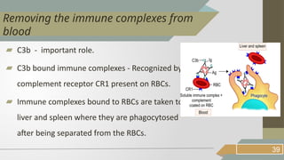 ▰ C3b - important role.
▰ C3b bound immune complexes - Recognized by
complement receptor CR1 present on RBCs.
▰ Immune complexes bound to RBCs are taken to
liver and spleen where they are phagocytosed
after being separated from the RBCs.
39
Removing the immune complexes from
blood
 