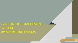 43
EVASION OF COMPLEMENT
SYSTEM
BY MICROORGANISMS
 