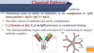 Complement pathways for MBBS AHS NURSING students. | PPTX