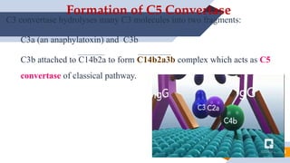 Complement pathways for MBBS AHS NURSING students. | PPTX