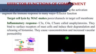 Complement pathways for MBBS AHS NURSING students. | PPTX