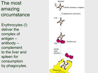 cOMPLEMEN system,its classes, protection, | PPT