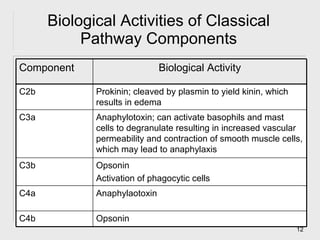 Biological Activities of Classical Pathway Components Opsonin C4b Anaphylaotoxin C4a Opsonin Activation of phagocytic cells C3b Anaphylotoxin; can activate basophils and mast cells to degranulate resulting in increased vascular permeability and contraction of smooth muscle cells, which may lead to anaphylaxis C3a Prokinin; cleaved by plasmin to yield kinin, which results in edema C2b Biological Activity Component 