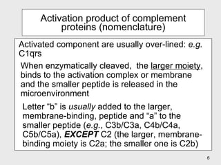 Activation product of complement proteins (nomenclature) When enzymatically cleaved,  the  larger moiety , binds to the activation complex or membrane and the smaller peptide is released in the microenvironment Letter “b” is  usually  added to the larger,   membrane-binding, peptide and “a” to the smaller peptide ( e.g. , C3b/C3a, C4b/C4a, C5b/C5a),  EXCEPT  C2 (the larger, membrane-binding moiety is C2a; the smaller one is C2b) Activated component are usually over-lined:  e.g.  C1qrs  