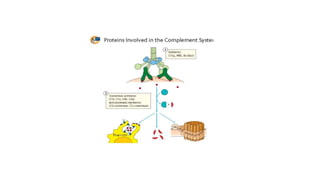 Complement system in health & disease (Immunology) | PPTX