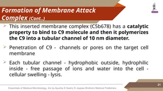 Complement pathways microbiology .pptx