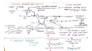Complement activation pathway.pptx