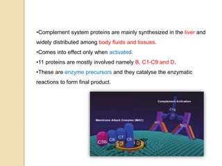 •Complement system proteins are mainly synthesized in the liver and
widely distributed among body fluids and tissues.
•Comes into effect only when activated.
•11 proteins are mostly involved namely B, C1-C9 and D.
•These are enzyme precursors and they catalyse the enzymatic
reactions to form final product.
 