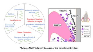 “Defence Wall” is largely because of the complement system
 