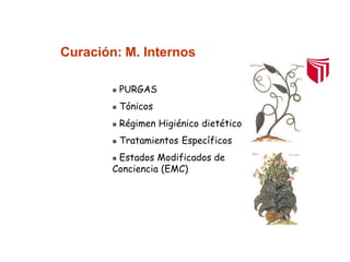 Curación: M. Internos
 PURGAS
 Tónicos
 Régimen Higiénico dietético
 Tratamientos Específicos
 Estados Modificados de
Conciencia (EMC)
 