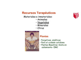Recursos Terapéuticos
Materiales e inmateriales:
• Animales
• Vegetales
• Minerales
• Otros
Plantas
• Purgativas, eméticas
• Para el cuidado cotidiano
• Plantas Maestras: Dieta en
aislamiento- EMC
 