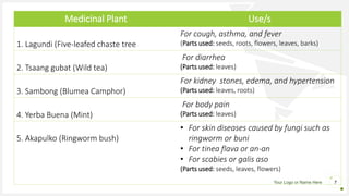 Your Logo or Name Here 7
Medicinal Plant Use/s
1. Lagundi (Five-leafed chaste tree
For cough, asthma, and fever
(Parts used: seeds, roots, flowers, leaves, barks)
2. Tsaang gubat (Wild tea)
For diarrhea
(Parts used: leaves)
3. Sambong (Blumea Camphor)
For kidney stones, edema, and hypertension
(Parts used: leaves, roots)
4. Yerba Buena (Mint)
For body pain
(Parts used: leaves)
5. Akapulko (Ringworm bush)
• For skin diseases caused by fungi such as
ringworm or buni
• For tinea flava or an-an
• For scabies or galis aso
(Parts used: seeds, leaves, flowers)
 
