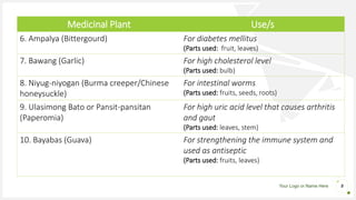 Your Logo or Name Here 8
Medicinal Plant Use/s
6. Ampalya (Bittergourd) For diabetes mellitus
(Parts used: fruit, leaves)
7. Bawang (Garlic) For high cholesterol level
(Parts used: bulb)
8. Niyug-niyogan (Burma creeper/Chinese
honeysuckle)
For intestinal worms
(Parts used: fruits, seeds, roots)
9. Ulasimong Bato or Pansit-pansitan
(Paperomia)
For high uric acid level that causes arthritis
and gaut
(Parts used: leaves, stem)
10. Bayabas (Guava) For strengthening the immune system and
used as antiseptic
(Parts used: fruits, leaves)
 