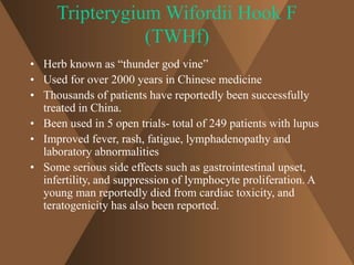 Tripterygium Wifordii Hook F 
(TWHf) 
• Herb known as “thunder god vine” 
• Used for over 2000 years in Chinese medicine 
• Thousands of patients have reportedly been successfully 
treated in China. 
• Been used in 5 open trials- total of 249 patients with lupus 
• Improved fever, rash, fatigue, lymphadenopathy and 
laboratory abnormalities 
• Some serious side effects such as gastrointestinal upset, 
infertility, and suppression of lymphocyte proliferation. A 
young man reportedly died from cardiac toxicity, and 
teratogenicity has also been reported. 
 