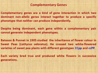 Complementary genes.pptx