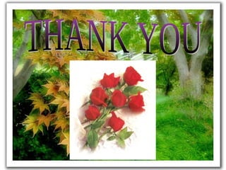 Complementary therapies in labour   gihs