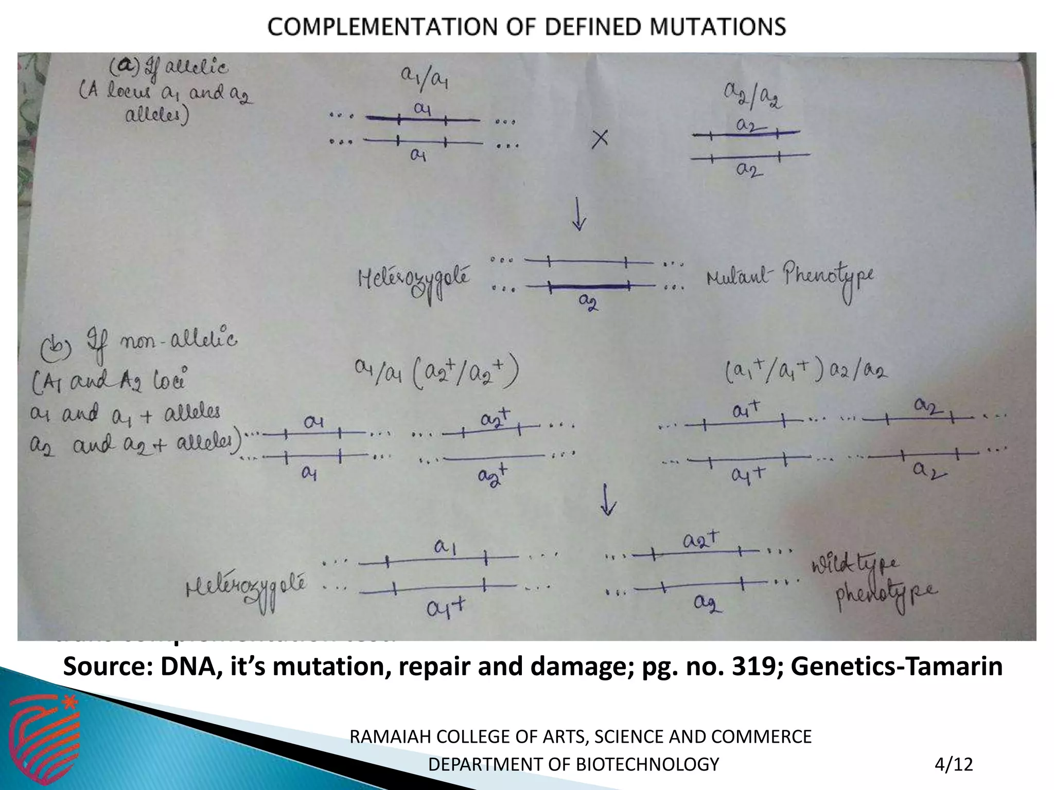  Thus the two mutations will complement each other and produce the wild-type.
 Mutations that fail to complement each other are termed as functional alleles.
 The test for defining alleles strictly on this basis of functionality is termed as cis-
trans complementation test.
Source: DNA, it’s mutation, repair and damage; pg. no. 319; Genetics-Tamarin
RAMAIAH COLLEGE OF ARTS, SCIENCE AND COMMERCE
 DEPARTMENT OF BIOTECHNOLOGY 4/12
 