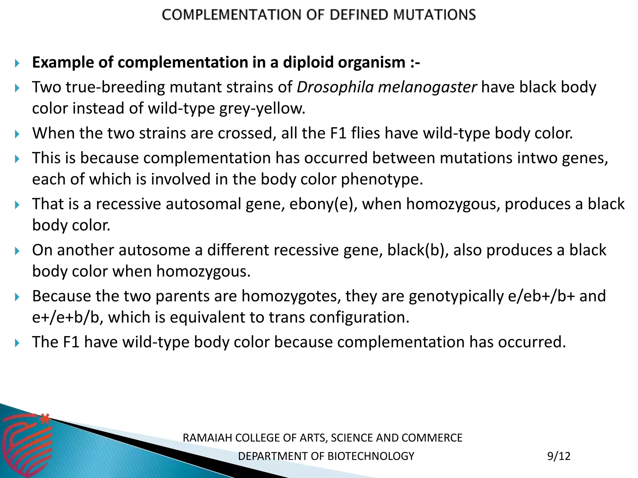  Example of complementation in a diploid organism :-
 Two true-breeding mutant strains of Drosophila melanogaster have black body
color instead of wild-type grey-yellow.
 When the two strains are crossed, all the F1 flies have wild-type body color.
 This is because complementation has occurred between mutations intwo genes,
each of which is involved in the body color phenotype.
 That is a recessive autosomal gene, ebony(e), when homozygous, produces a black
body color.
 On another autosome a different recessive gene, black(b), also produces a black
body color when homozygous.
 Because the two parents are homozygotes, they are genotypically e/eb+/b+ and
e+/e+b/b, which is equivalent to trans configuration.
 The F1 have wild-type body color because complementation has occurred.
RAMAIAH COLLEGE OF ARTS, SCIENCE AND COMMERCE
DEPARTMENT OF BIOTECHNOLOGY 9/12
 