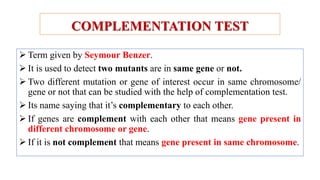 Complementation test | PPTX