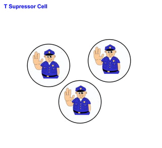 T Supressor Cell
 