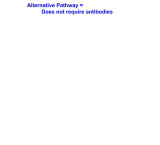 Alternative Pathway =
      Does not require antibodies
 