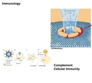 Immunology




             Complement
             Cellular Immunity
 
