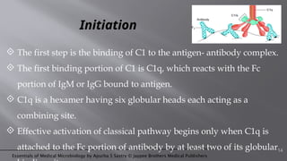 Essentials of Medical Microbiology by Apurba S Sastry © Jaypee Brothers Medical Publishers
Initiation
 The first step is the binding of C1 to the antigen- antibody complex.
 The first binding portion of C1 is C1q, which reacts with the Fc
portion of IgM or IgG bound to antigen.
 C1q is a hexamer having six globular heads each acting as a
combining site.
 Effective activation of classical pathway begins only when C1q is
attached to the Fc portion of antibody by at least two of its globular14
 