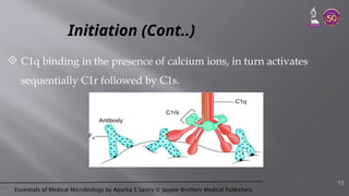 Essentials of Medical Microbiology by Apurba S Sastry © Jaypee Brothers Medical Publishers
Initiation (Cont..)
 C1q binding in the presence of calcium ions, in turn activates
sequentially C1r followed by C1s.
15
 