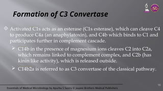 Essentials of Medical Microbiology by Apurba S Sastry © Jaypee Brothers Medical Publishers
Formation of C3 Convertase
 Activated C1s acts as an esterase (C1s esterase), which can cleave C4
to produce C4a (an anaphylatoxin), and C4b which binds to C1 and
participates further in complement cascade.
 C14b in the presence of magnesium ions cleaves C2 into C2a,
which remains linked to complement complex, and C2b (has
kinin like activity), which is released outside.
 C14b2a is referred to as C3 convertase of the classical pathway.
16
 