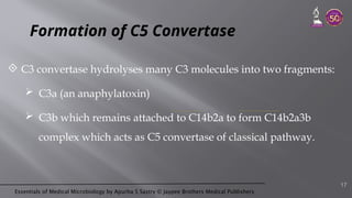 Essentials of Medical Microbiology by Apurba S Sastry © Jaypee Brothers Medical Publishers
Formation of C5 Convertase
 C3 convertase hydrolyses many C3 molecules into two fragments:
 C3a (an anaphylatoxin)
 C3b which remains attached to C14b2a to form C14b2a3b
complex which acts as C5 convertase of classical pathway.
17
 