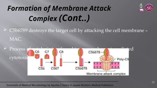 Essentials of Medical Microbiology by Apurba S Sastry © Jaypee Brothers Medical Publishers
Formation of Membrane Attack
Complex (Cont..)
 C5b6789 destroys the target cell by attacking the cell membrane –
MAC.
 Process of cytolysis is referred to as complement-mediated
cytotoxicity.
20
 