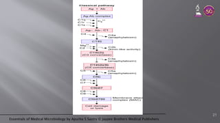 Essentials of Medical Microbiology by Apurba S Sastry © Jaypee Brothers Medical Publishers
21
 