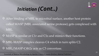 Essentials of Medical Microbiology by Apurba S Sastry © Jaypee Brothers Medical Publishers
Initiation (Cont..)
 After binding of MBL to microbial surface, another host protein
called MASP (MBL associated serine protease) gets complexed with
MBL.
 MASP is similar or C1r and C1s and mimics their functions.
 MBL-MASP complex cleaves C4 which in turn splits C2.
 MBL/MASP-C4b2a acts as C3 convertase.
30
 