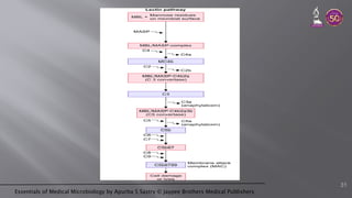 Essentials of Medical Microbiology by Apurba S Sastry © Jaypee Brothers Medical Publishers
31
 