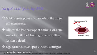Essentials of Medical Microbiology by Apurba S Sastry © Jaypee Brothers Medical Publishers
Target cell lysis by MAC
 MAC makes pores or channels in the target
cell membrane.
 Allows the free passage of various ions and
water into the cell leading to cell swelling,
lysis and death.
 E.g. Bacteria, enveloped viruses, damaged
cells, tumor cells, etc 35
 