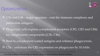 Essentials of Medical Microbiology by Apurba S Sastry © Jaypee Brothers Medical Publishers
Opsonization
 C3b and C4b - major opsonins - coat the immune complexes and
particulate antigens.
 Phagocytic cells express complement receptors (CR1, CR3 and CR4)
for complement components (C3b, C4b).
 Bind to complement coated antigens and enhance phagocytosis.
 C5a - enhances the CR1 expression on phagocytes by 10 folds.
37
 