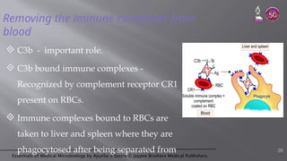 Essentials of Medical Microbiology by Apurba S Sastry © Jaypee Brothers Medical Publishers
Removing the immune complexes from
blood
 C3b - important role.
 C3b bound immune complexes -
Recognized by complement receptor CR1
present on RBCs.
 Immune complexes bound to RBCs are
taken to liver and spleen where they are
phagocytosed after being separated from 39
 