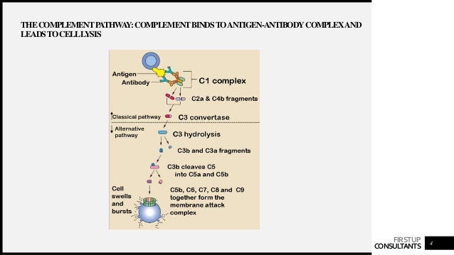 Complement fixation